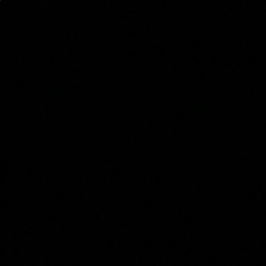 Meet your Posher, Mariana